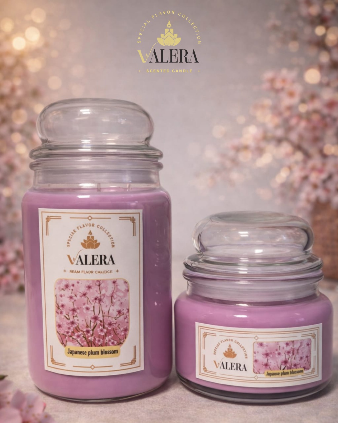 Japanese plum blossom